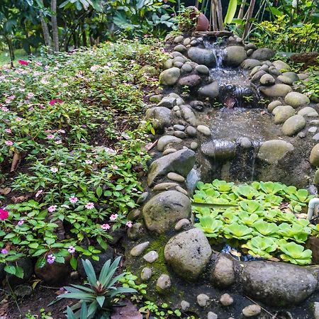 Hotel Vista Del Cerro La Fortuna 외부 사진
