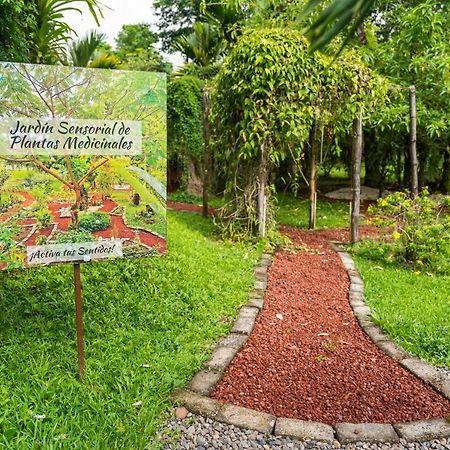 Hotel Vista Del Cerro La Fortuna 외부 사진