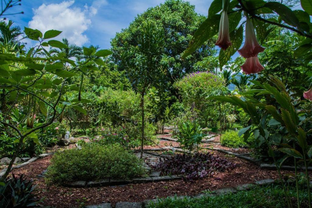 Hotel Vista Del Cerro La Fortuna 외부 사진