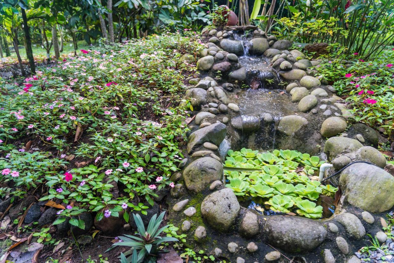 Hotel Vista Del Cerro La Fortuna 외부 사진