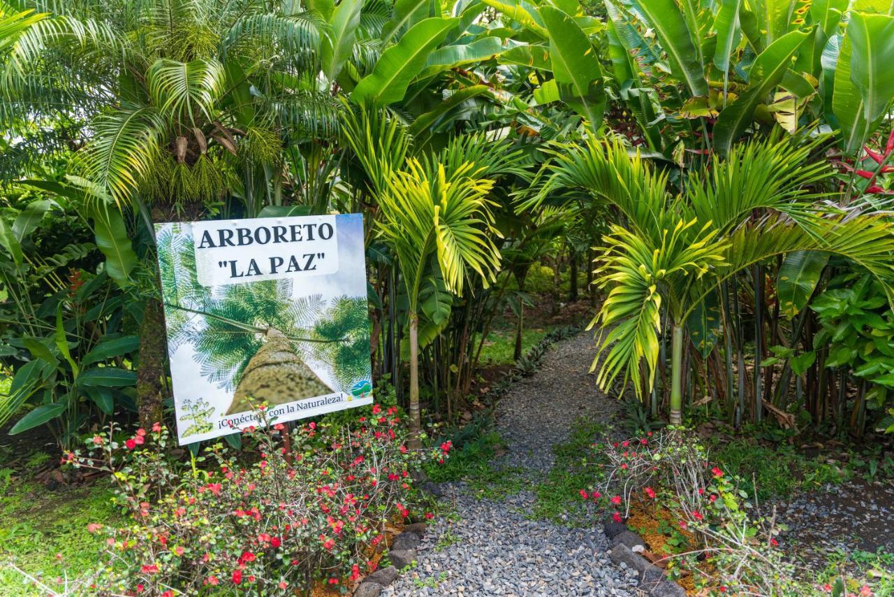 Hotel Vista Del Cerro La Fortuna 외부 사진